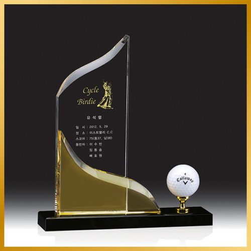 트로피 HB-9055 골프 대회 시상식 메달리스트 골프싱글패 골프이글패 홀인원트로피